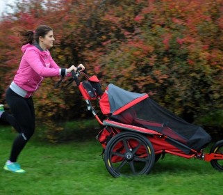 Protective mosquito net for ALL models iXROVER