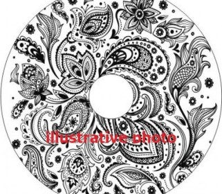 Spokeguard on request iXROVER REAR