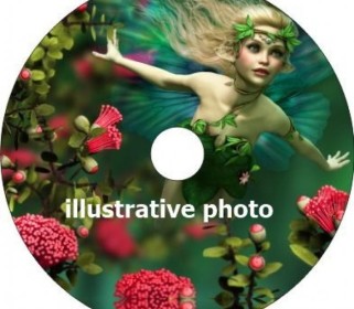 Spokeguard on request iXROVER REAR