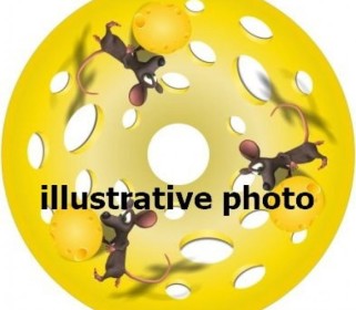 Spokeguard on request iXROVER REAR