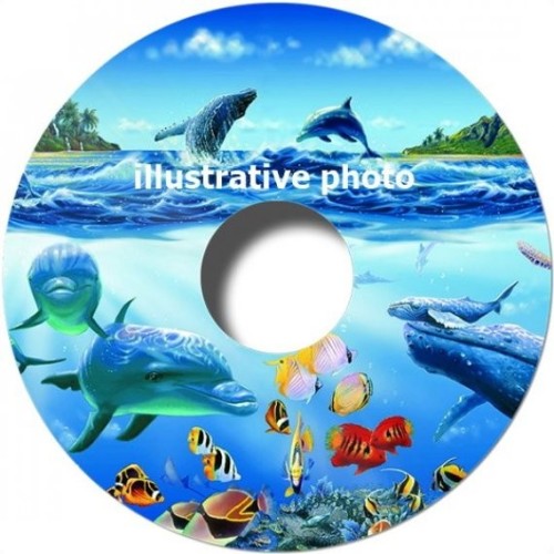 Spokeguard on request iXROVER REAR